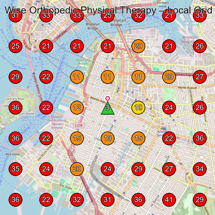 Wise Orthopedic Physical Therapy GeoGrid visibility map for Physical Therapist in Brooklyn